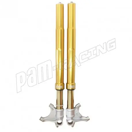 Fourche OHLINS ZX10R 2011-2015 Saisonangebot