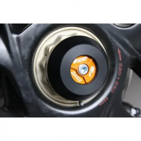 Protections de bras oscillant GSG MOTO MV AGUSTA Echt