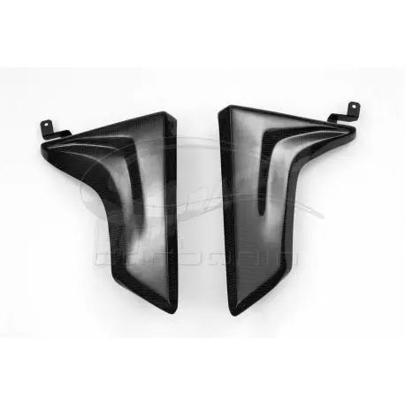 Neue Ware Écopes de radiateur carbone MT09 CARBONIN