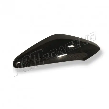 Caches latéraux carbone ILMBERGER Speed Triple 1050 2011-2018 Sonderaktion