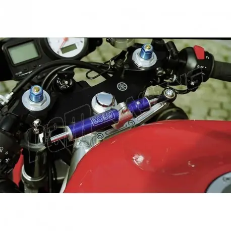 Echt Amortisseur de direction route TOBY R6 1999-2000