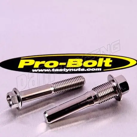 Expressversand Vis d‘étriers de frein arrière titane PRO-BOLT