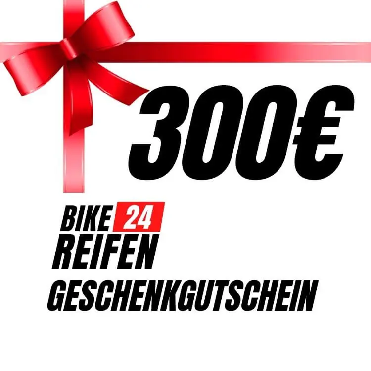 Geschenkgutschein 300 Euro Neuheit