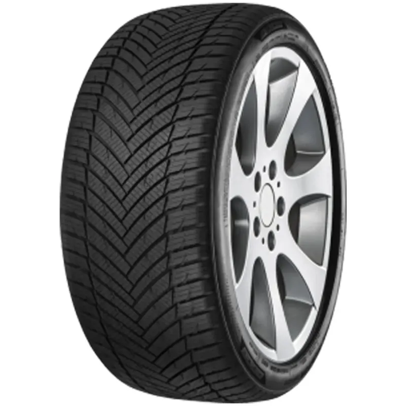 Abverkauf MINERVA AS MASTER 205/65R15 94V