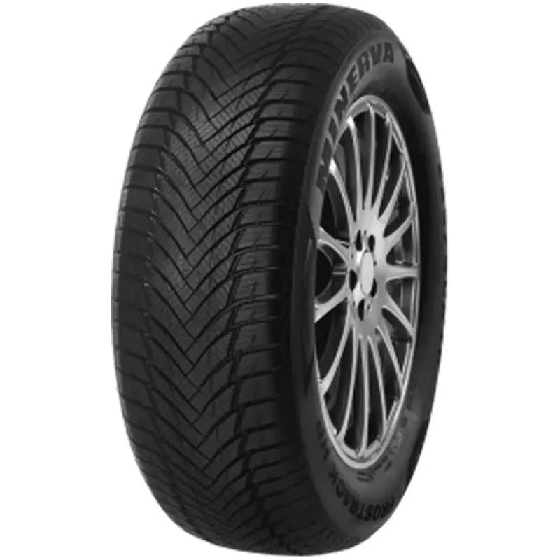 MINERVA FROSTRACK HP 195/65R15 91H Sonderangebot